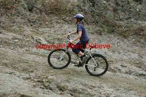 25175 photo